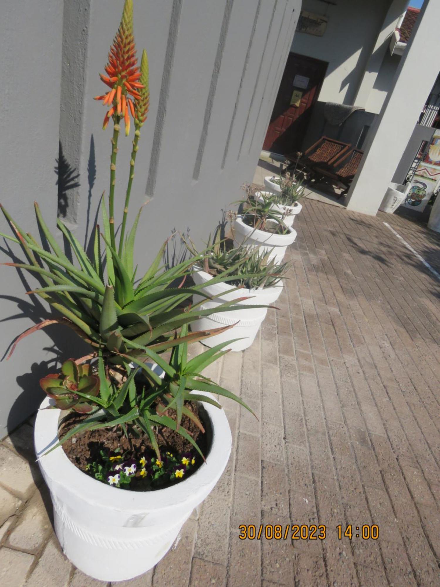 מרגייט Beachcomber Bay Guest House In South Africa מראה חיצוני תמונה