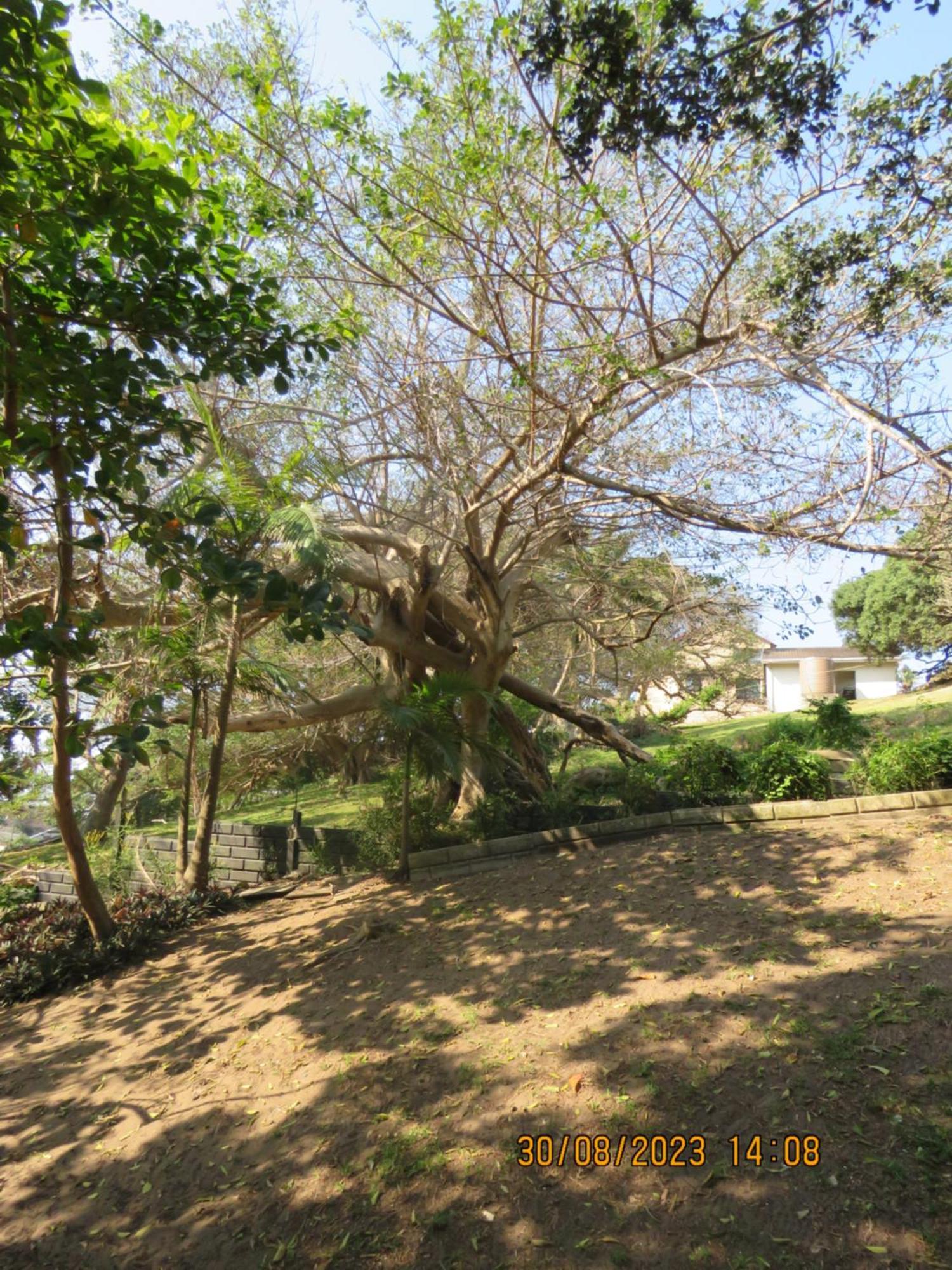 מרגייט Beachcomber Bay Guest House In South Africa מראה חיצוני תמונה