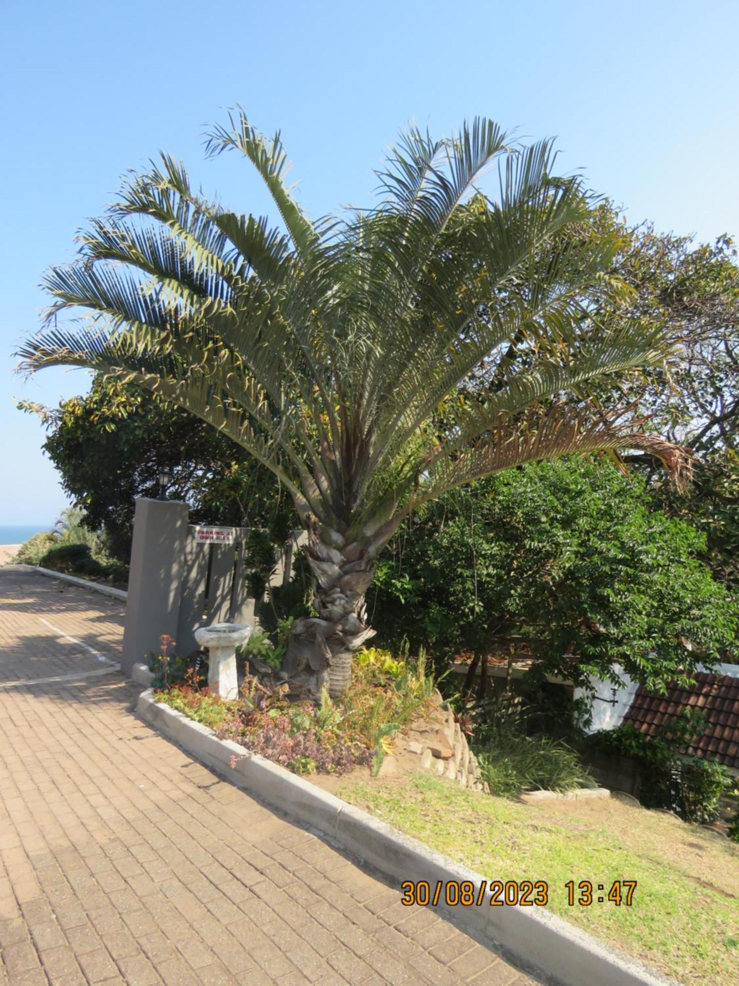 מרגייט Beachcomber Bay Guest House In South Africa מראה חיצוני תמונה